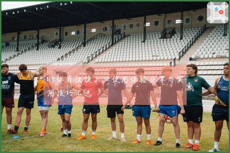 ng体育快捷入口使用体验分享与实用技巧汇总