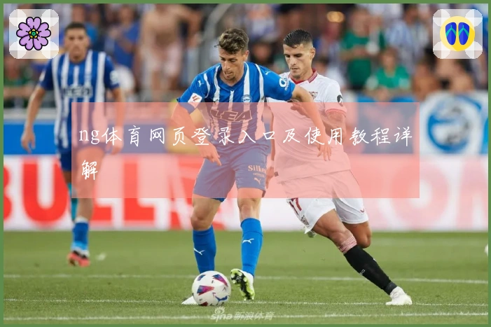 ng体育网页登录入口及使用教程详解