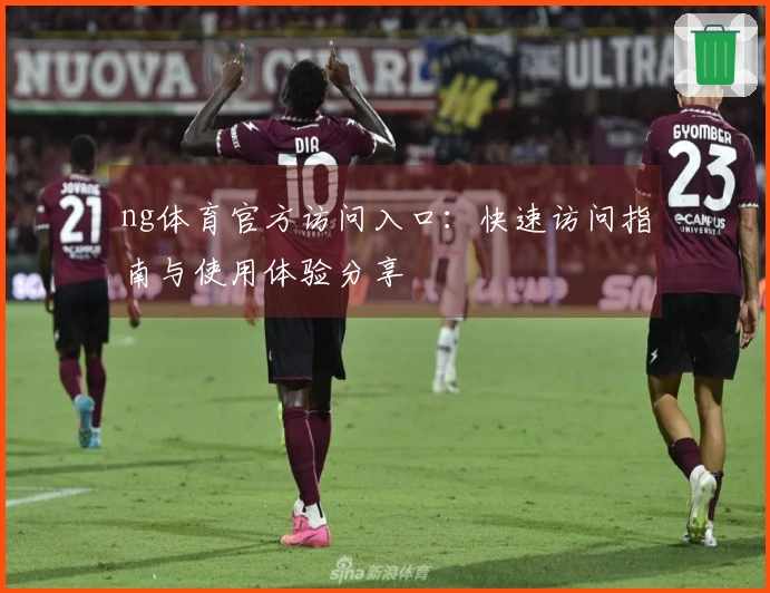 ng体育官方访问入口：快速访问指南与使用体验分享