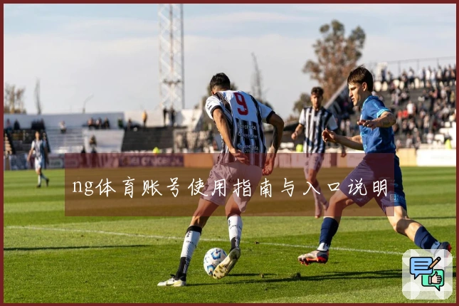 ng体育账号使用指南与入口说明