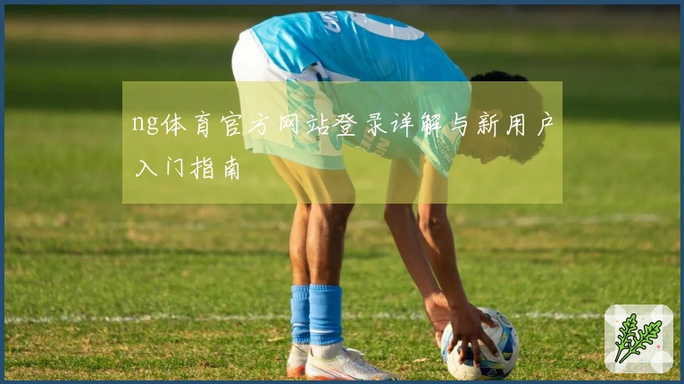 ng体育官方网站登录详解与新用户入门指南