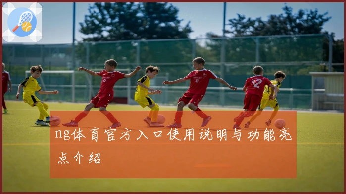 ng体育官方入口使用说明与功能亮点介绍