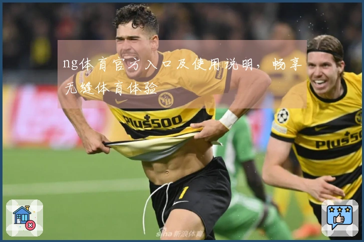 ng体育官方入口及使用说明，畅享无缝体育体验