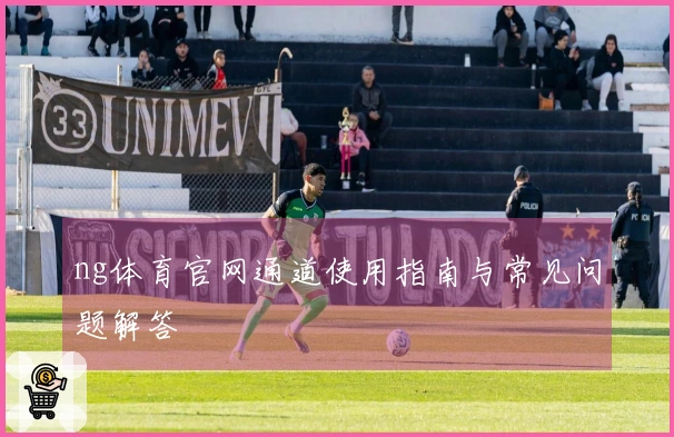 ng体育官网通道使用指南与常见问题解答