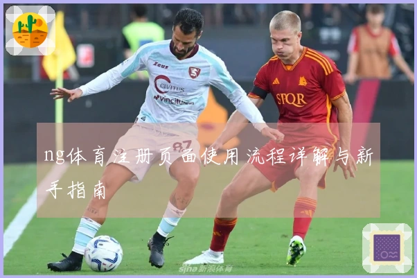 ng体育注册页面使用流程详解与新手指南
