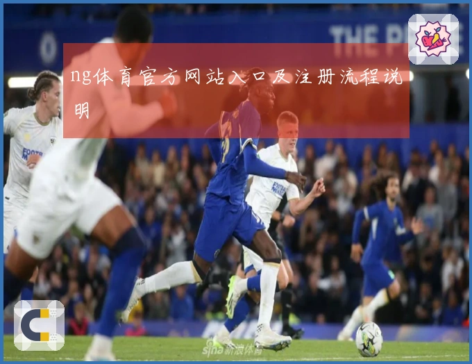 ng体育官方网站入口及注册流程说明