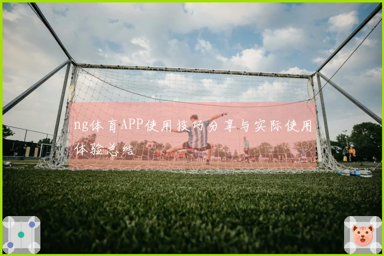 ng体育APP使用技巧分享与实际使用体验总结