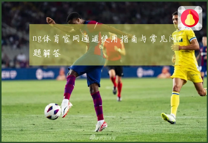 ng体育官网通道使用指南与常见问题解答