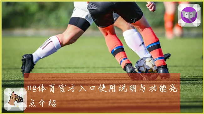 ng体育官方入口使用说明与功能亮点介绍